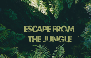 Escape from the jungle